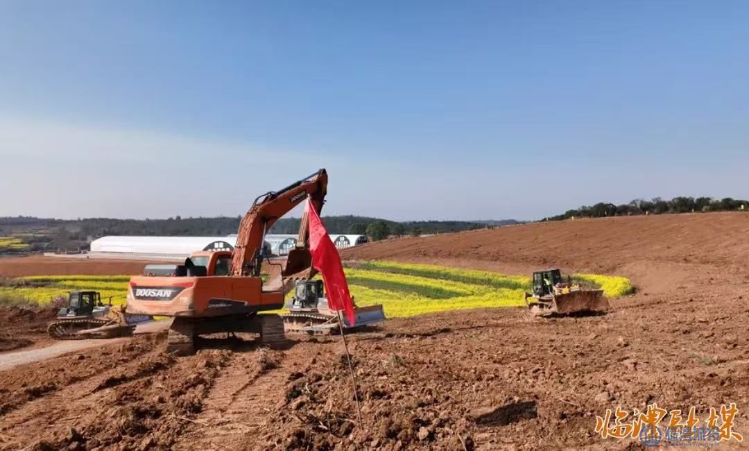 四新岗万亩高标准油茶基地建设项目开工！